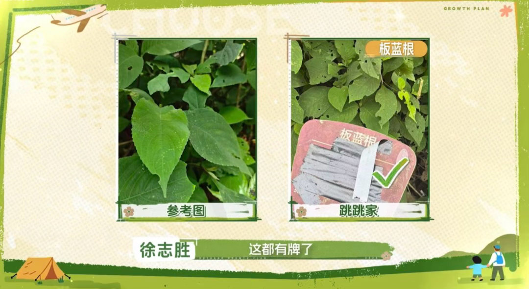 大人教孩子诚实自己却抄近道 徐志胜撕黑胶布那一刻，弹幕都在笑，但我突然笑不出来了