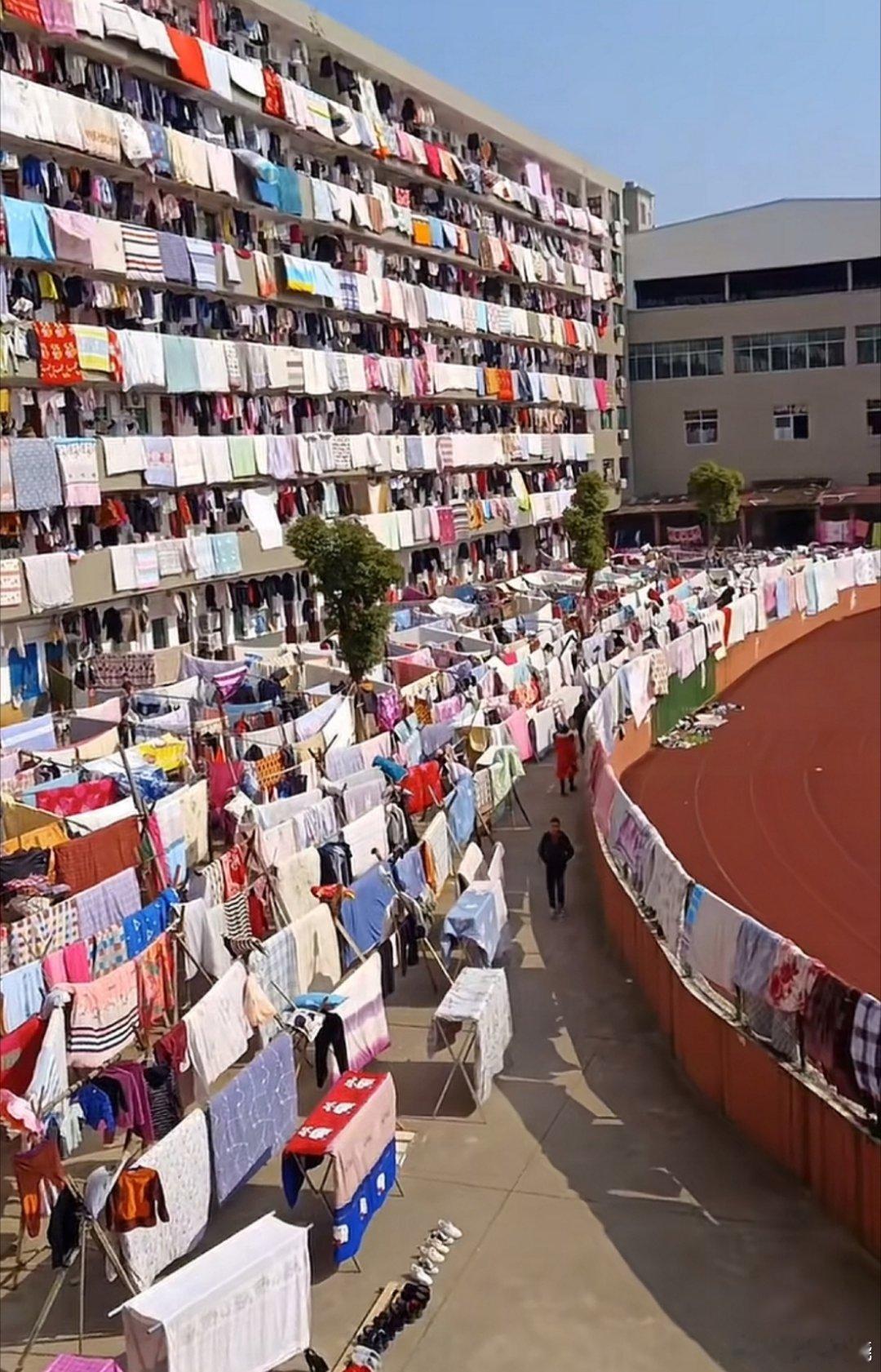 有没有人跟我一样，看到大太阳就想晒东西，最想的就是晒被子，就是总想晒点啥，要是大