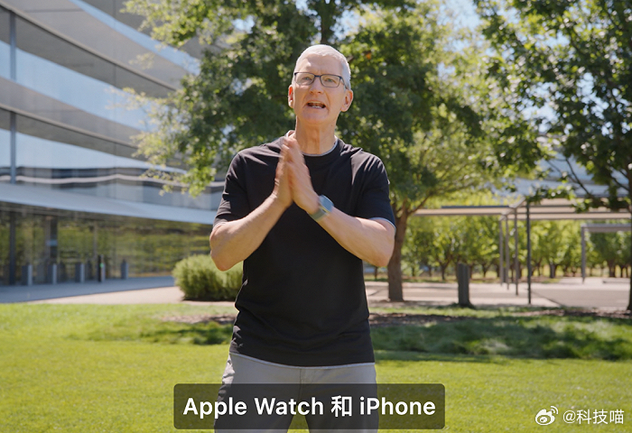 Counterpoint：苹果 2025 年的 iPhone 出货量预计将达到 