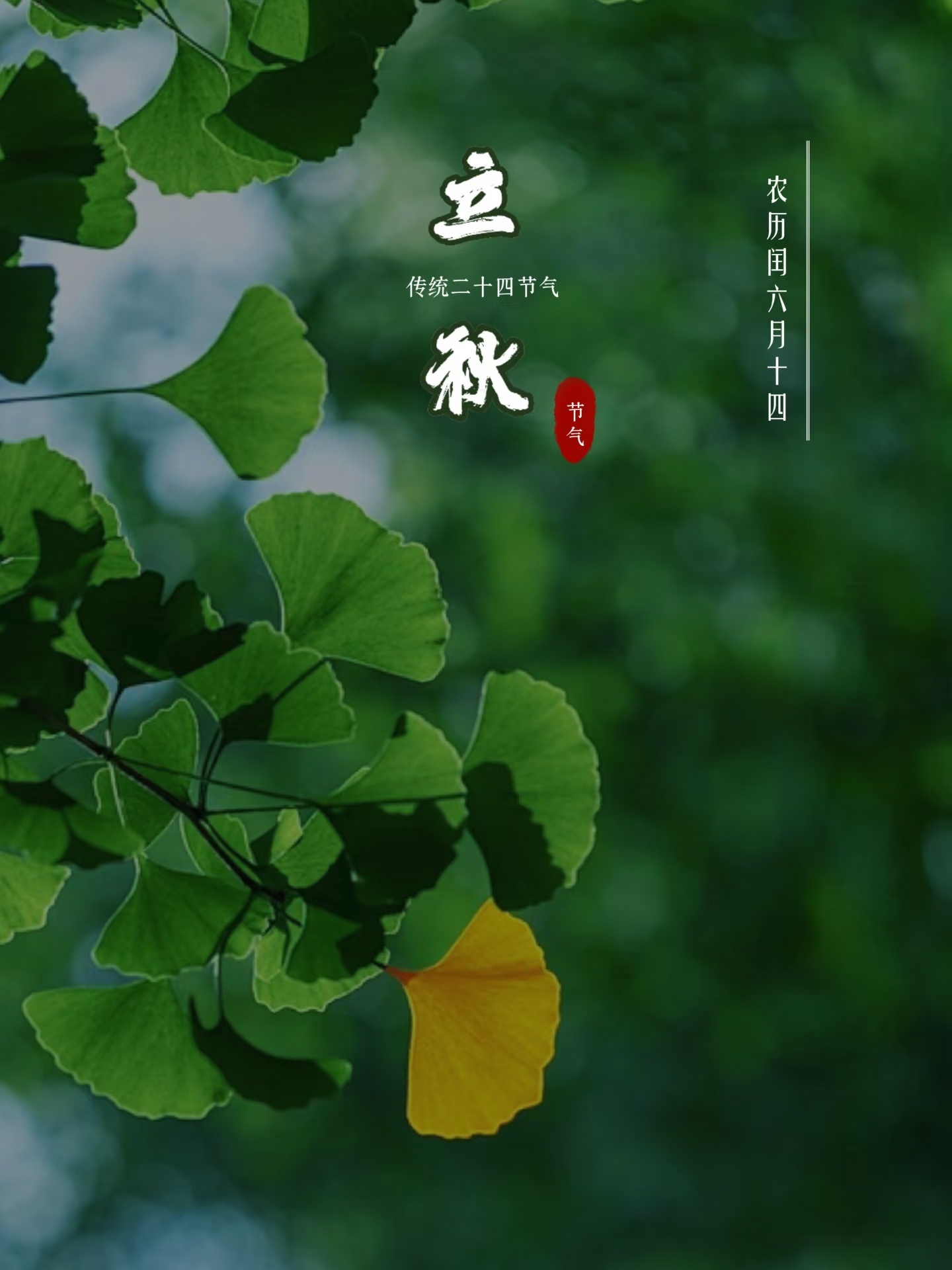 每日一善‎每日一善 今日立秋，万事顺遂，酷暑未及的温柔，由秋风缓缓送达愿好运相随