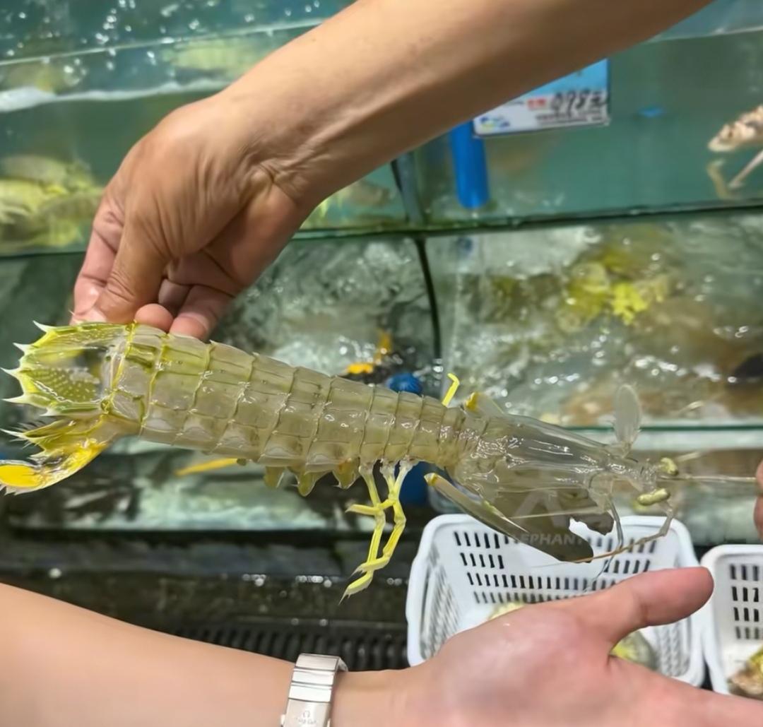 海南三亚，4只皮皮虾1035元事件，一场再普通不过的消费误会，硬生生演变成一场无