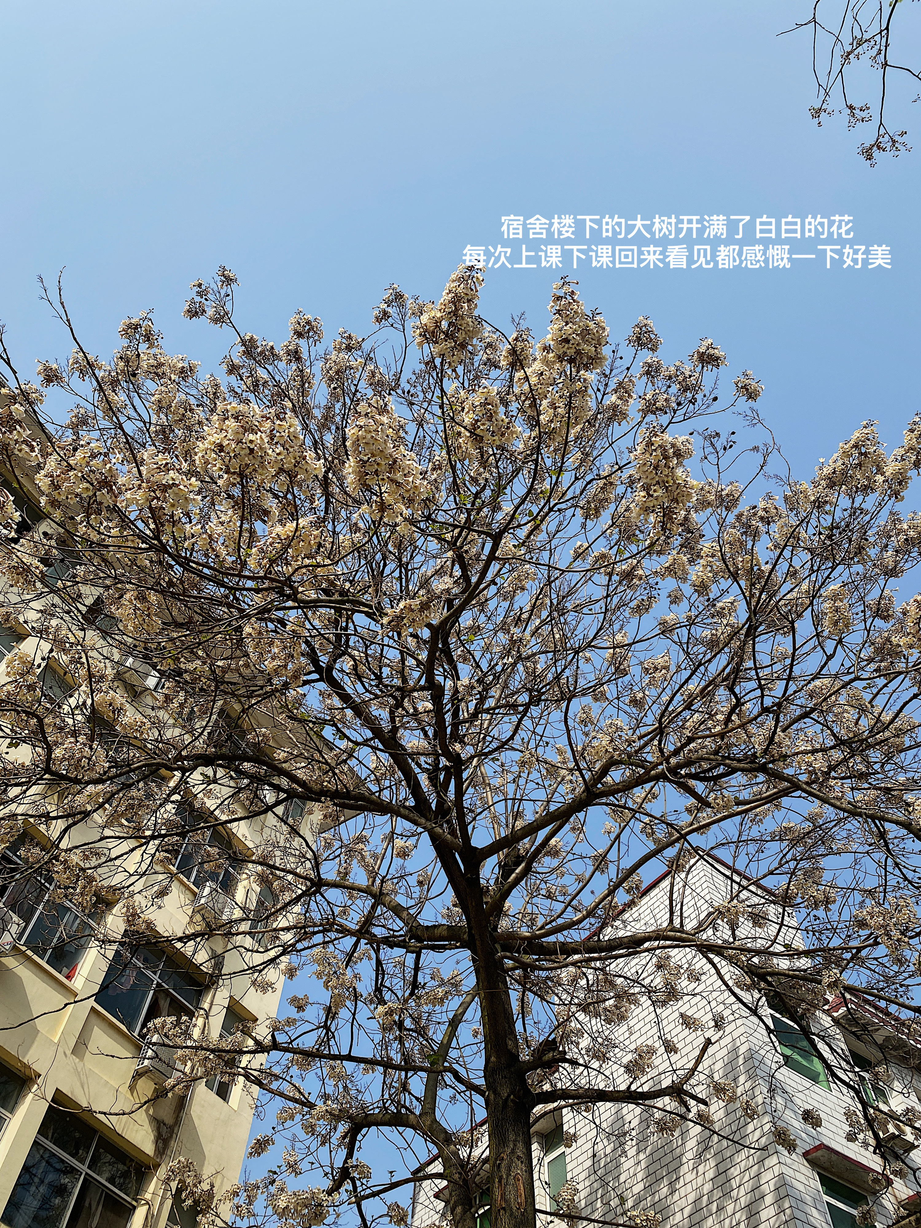 有人敲门我不在乎 因为爱我的人会破窗 ​​​