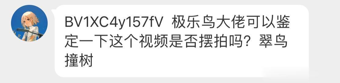 摆拍 翠鸟不会这么傻不是很懂，为什么老是有人喜欢这样摆拍… ​​​