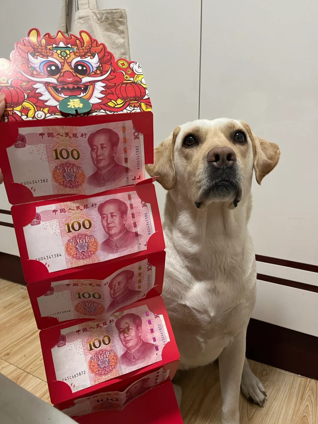 今日收入-1000 小狗的红包花光光了😭