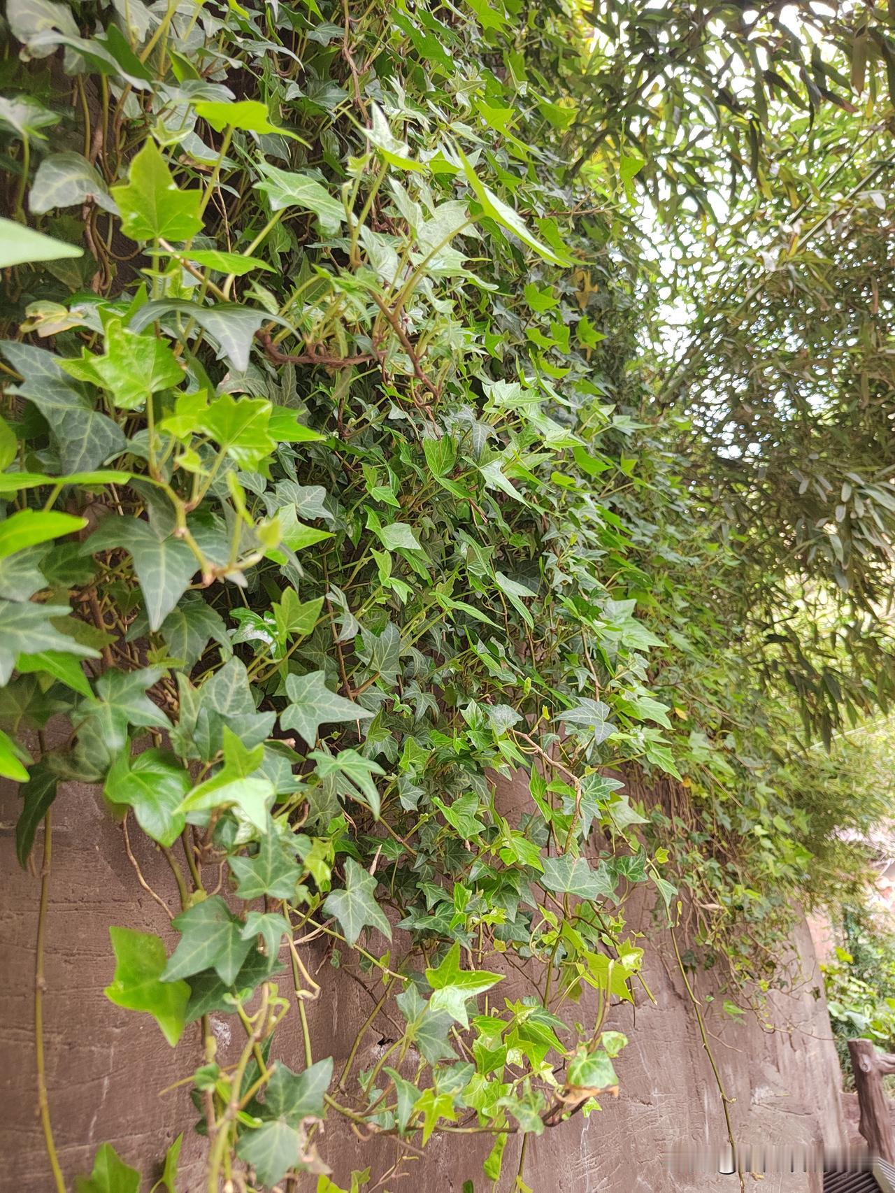 退休金高不高，你得看跟谁比！
你一个月退休金2600，在我眼里就是巨款！
因为呢