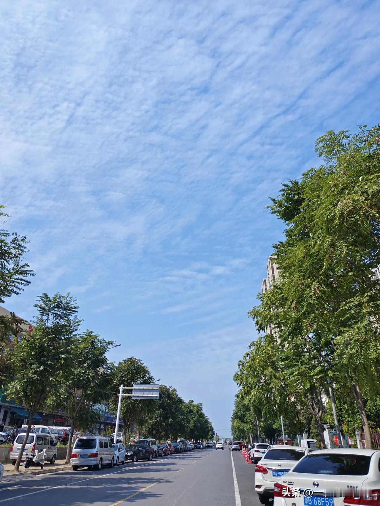 #我的今日感悟#认真对待生活，不敷衍、不将就，平凡的日子也能过得热气腾腾、有滋有