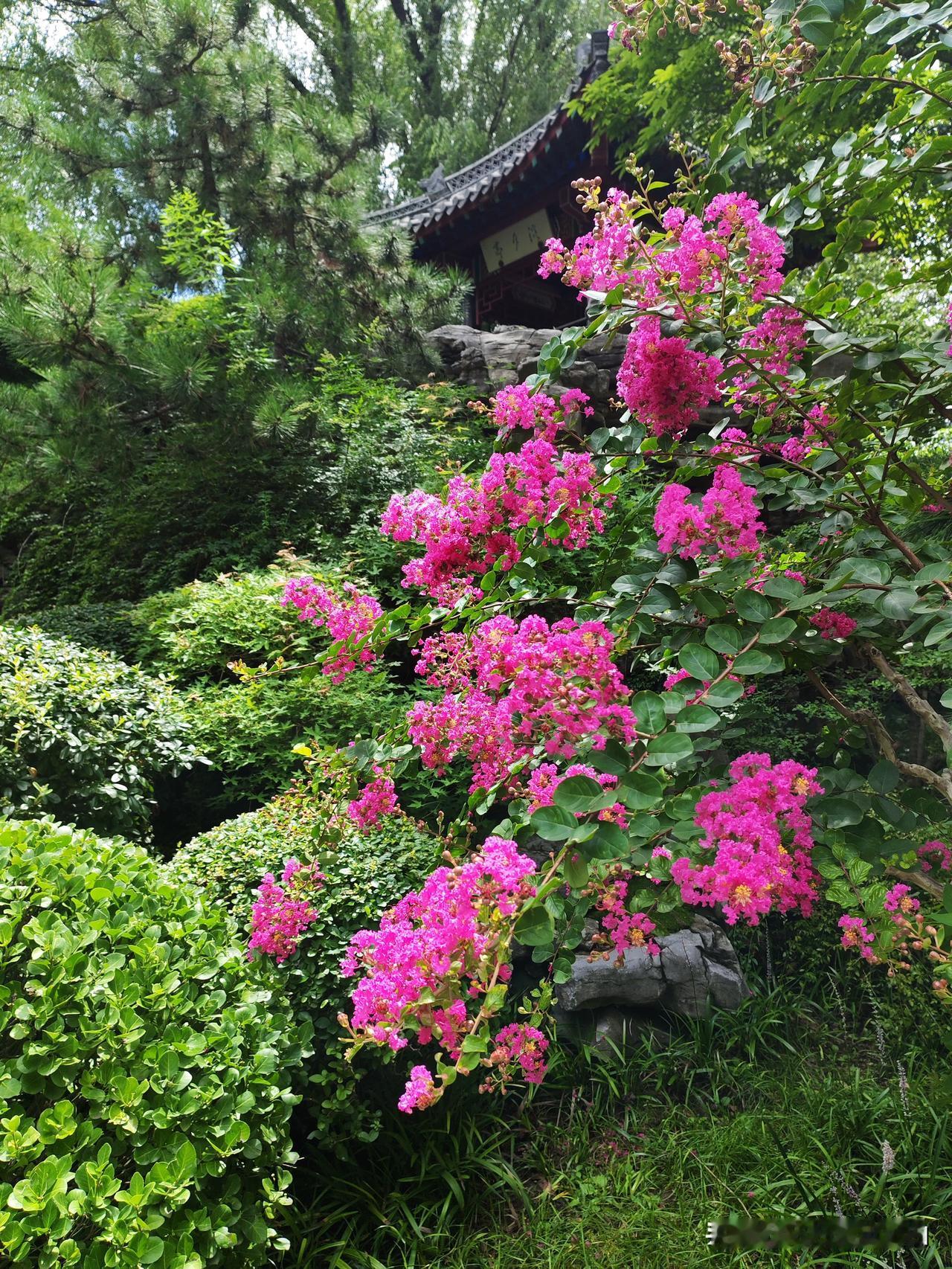 全域焕新在“智赋新质 全域焕新”的大背景下，中国移动的AI生态建设和工业互联网创