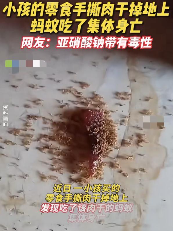 海南一孩子掉落的零食，竟让偷吃的蚂蚁全部暴毙。
 
涉事零食含剧毒亚硝酸钠，成人