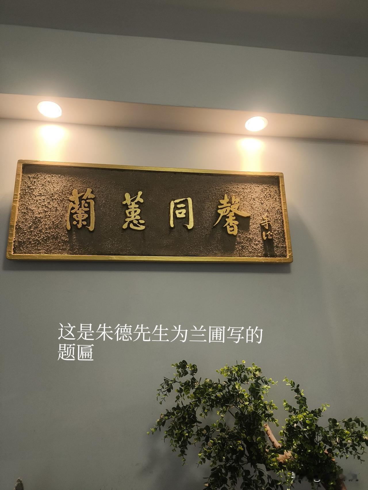 这是我在广州兰圃抓拍到的一段小视频，