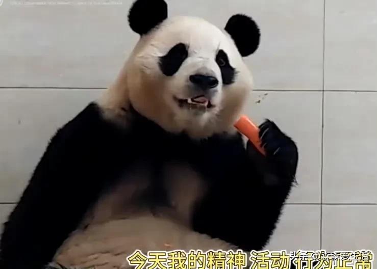 看图说话，很高兴福宝目前为止，一切都好。

希望可以找到原因。

有两个奶爸24