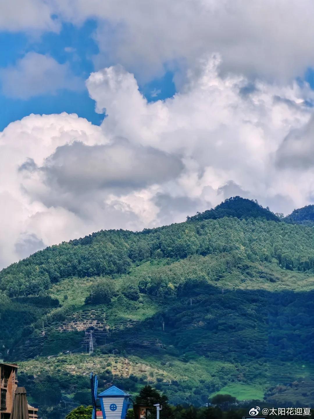 盛夏追光之旅微博旅行ing看惯了精致规整的人造景观，才懂云霄山水藏着的这份出世野
