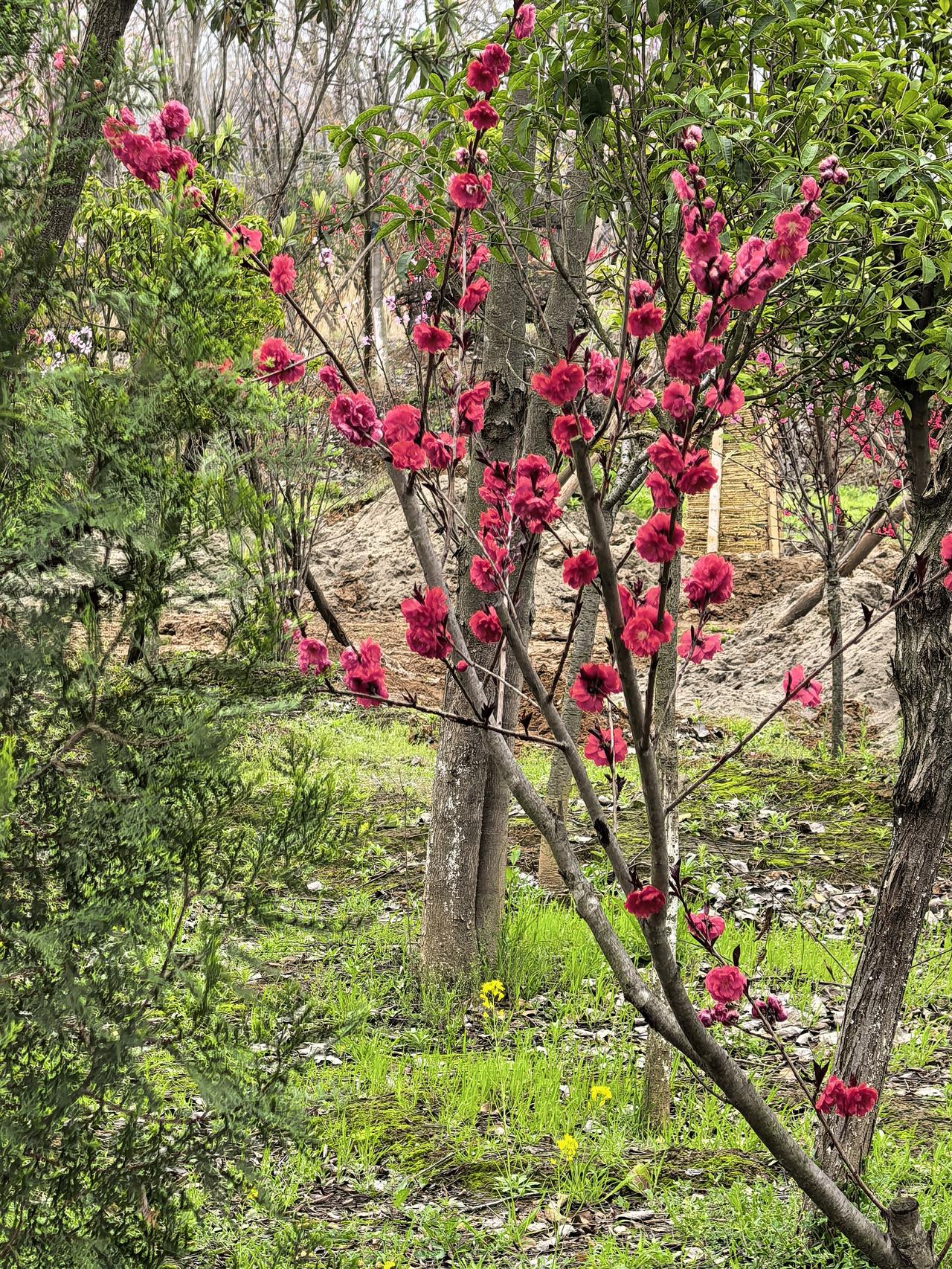 圣人培训班持续招生中。有对清静修养之道感兴趣的网友，可以找心境君报名学习。学费每