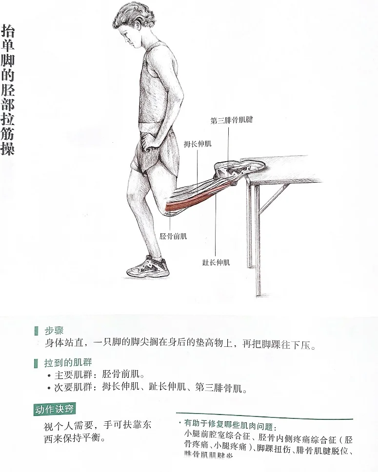 拉伸小腿前侧肌肉