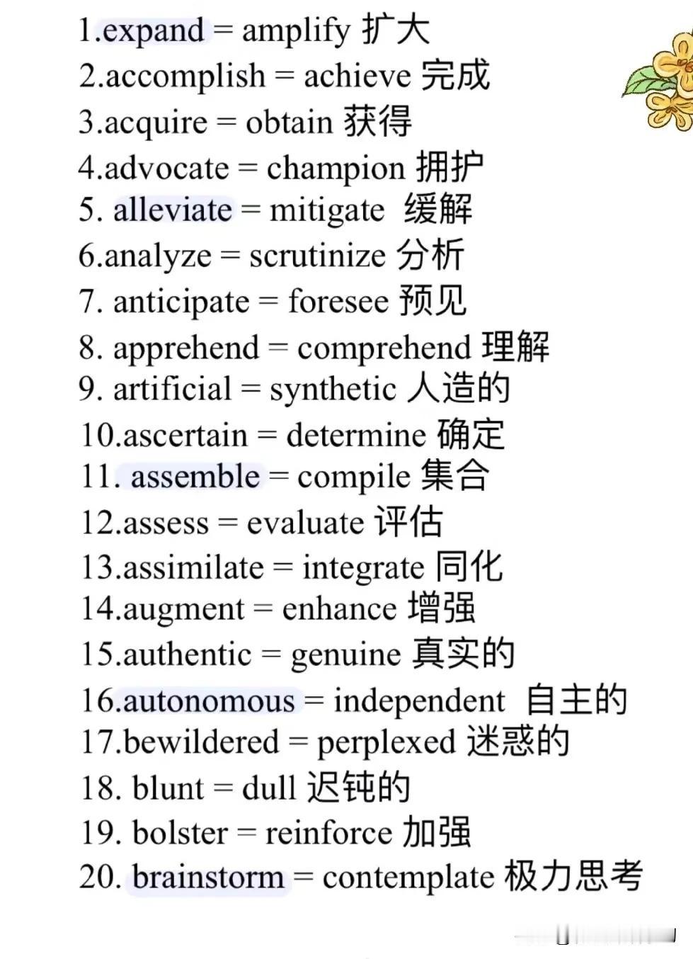高级同义词学习