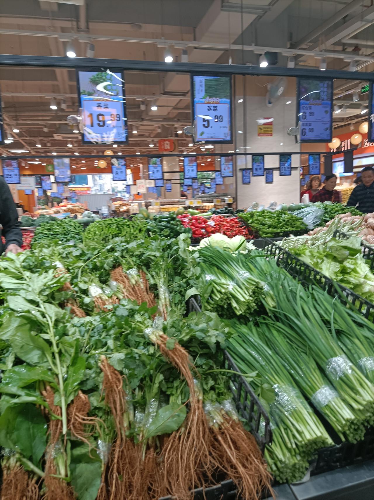 我的菜市场记录深圳今天的菜价又有点貴贵了，水白菜，芥菜，皇帝菜都在4元左右1斤，