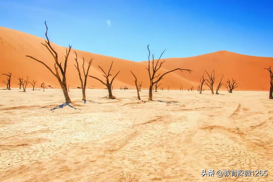 中年的苦，都藏在过度操心里，别替孩子走弯路，别逼父母改活法，管好自己，就是对家人