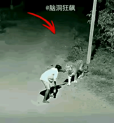 老话说的好，酒壮熊人胆，这哥们看来真是喝高了，手里拿个酒瓶子，谁都不服了，见着老