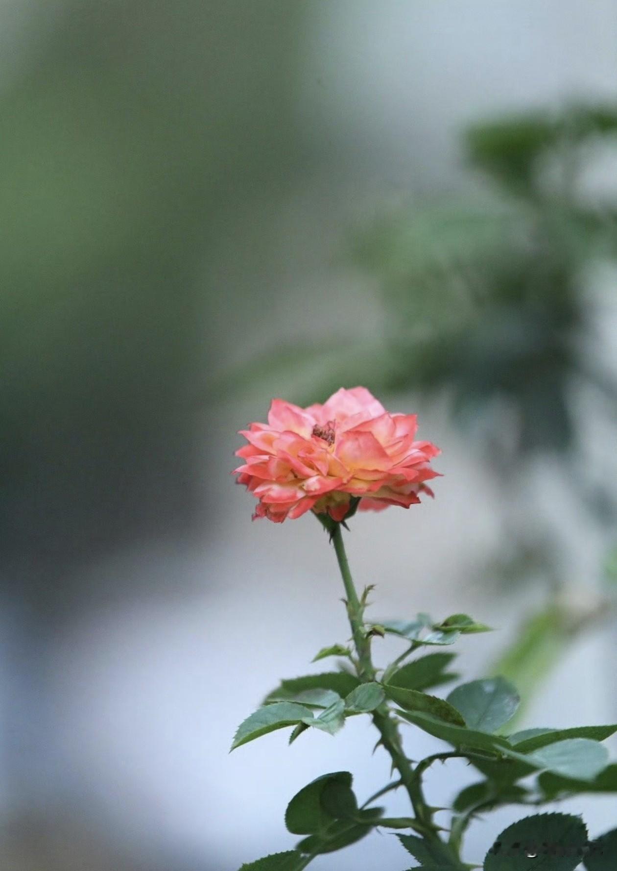 一个人最顶级的智慧：稳住自己

1. 遇事别慌，先稳住情绪：天大的事，也大不过一