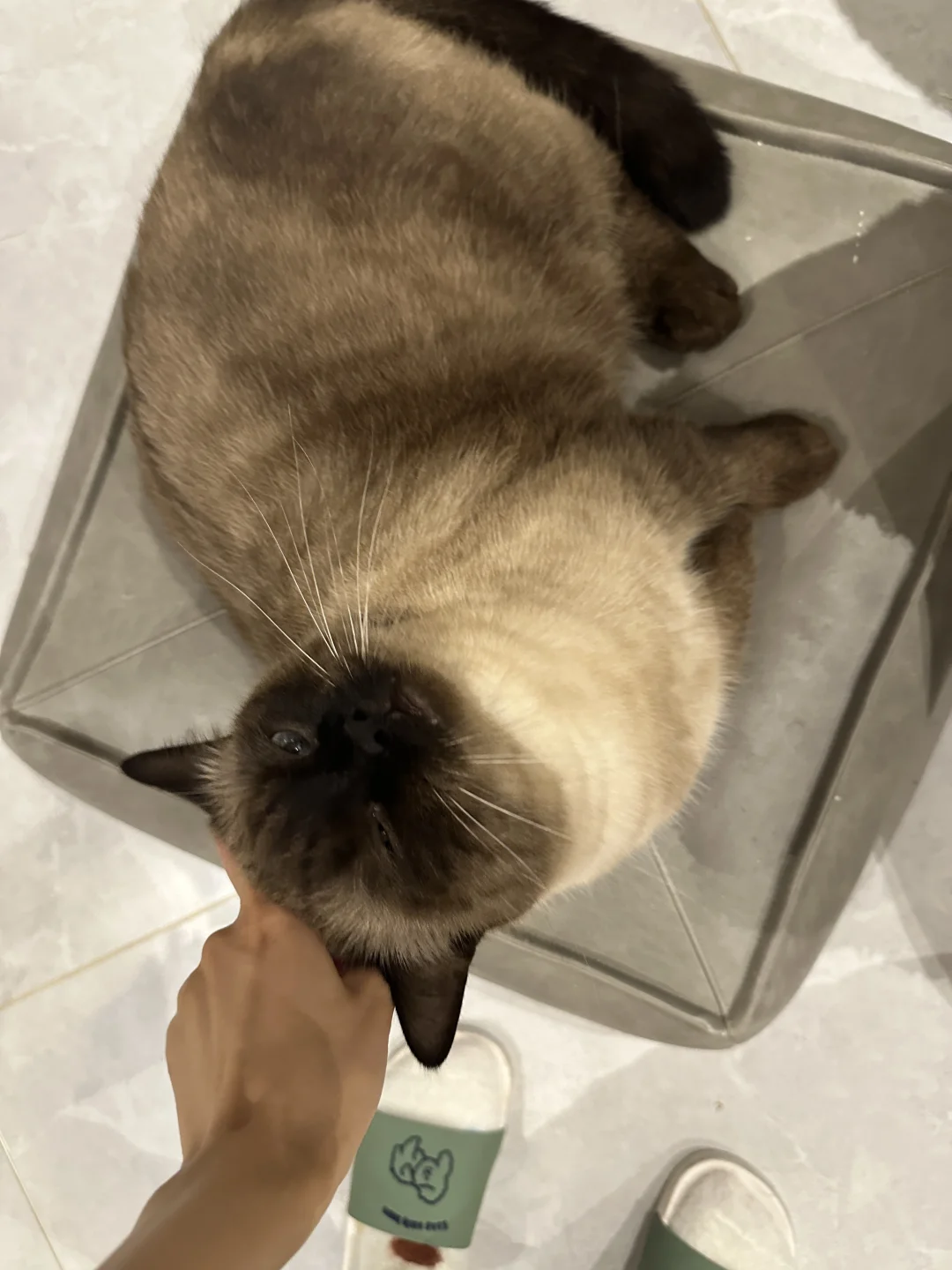 黑头：妈妈你看她！！！