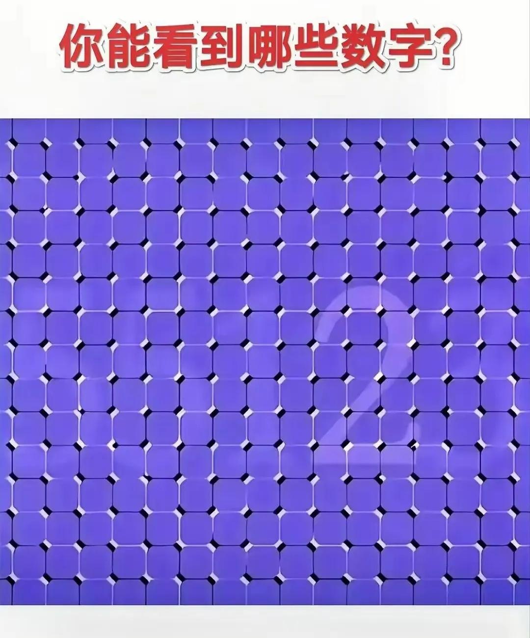 能看到哪几个数字？我为什么只看到1个？考眼力🔍
密密麻麻的紫色格子，里面藏着数