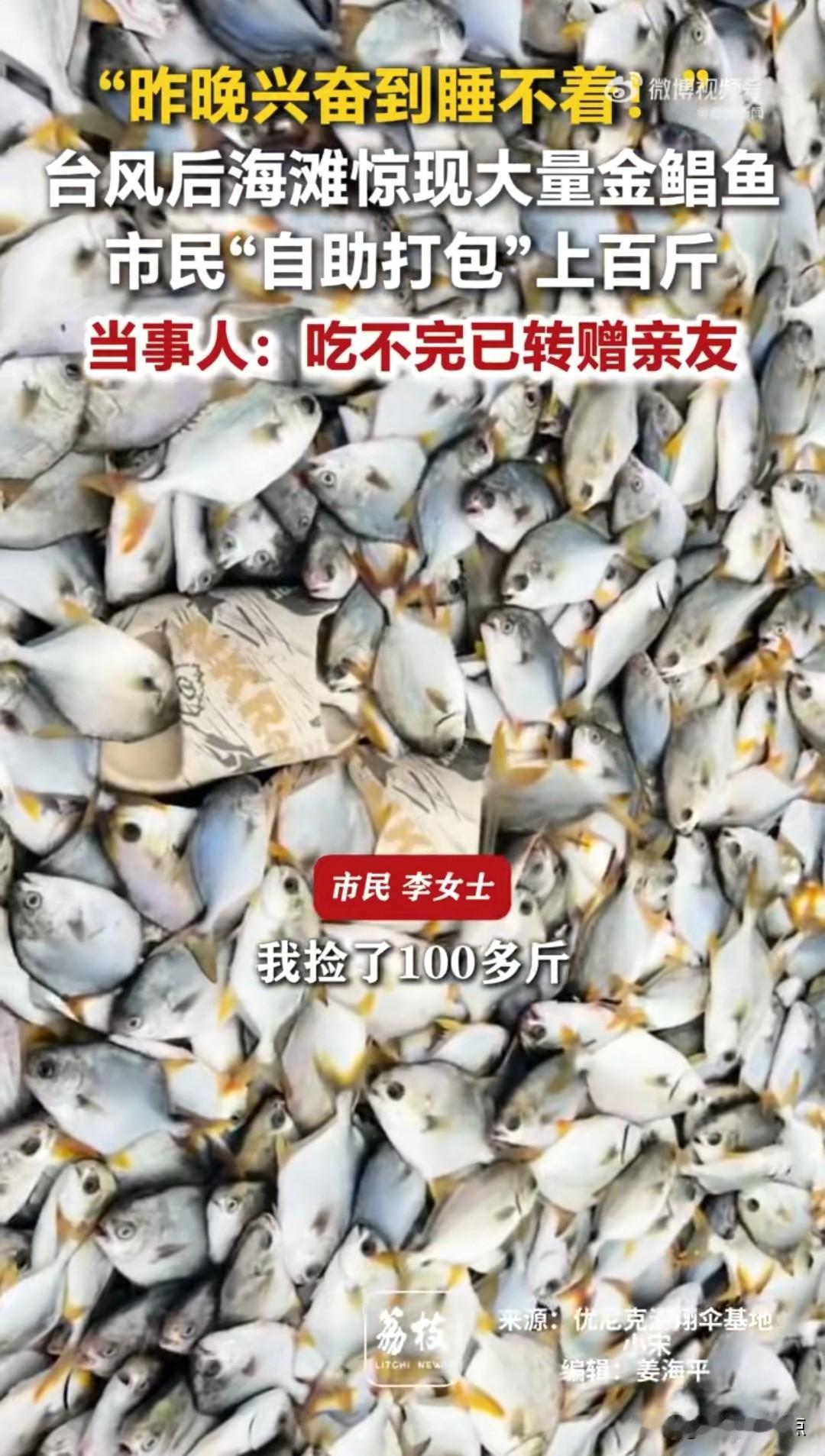 7月29日凌晨四点忽然失眠了，怎么也睡不着，于是看手机，在网易浏览时看到了荔枝新