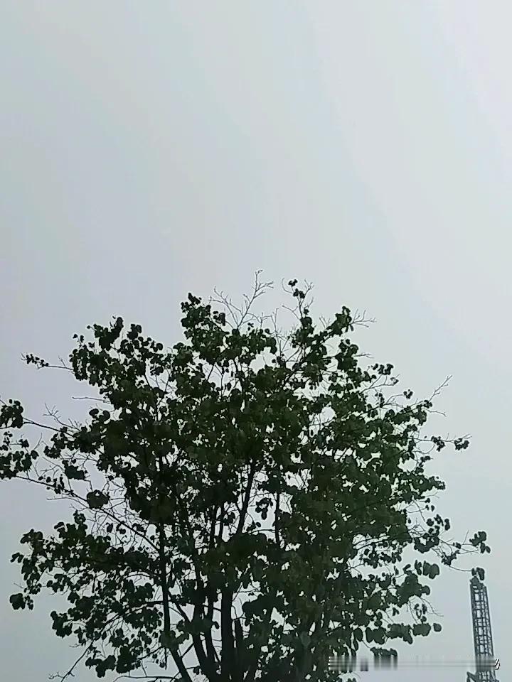 大家都在努力生活，风雨再大也阻挡不了我们奔赴工作的脚步。不过为了减少风雨天出行的