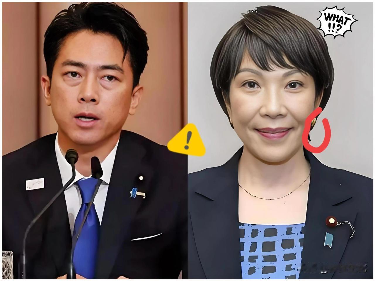 就在刚刚

得知一个消息

高市早苗首相及其内阁成员的个人及资产情况于12月5日