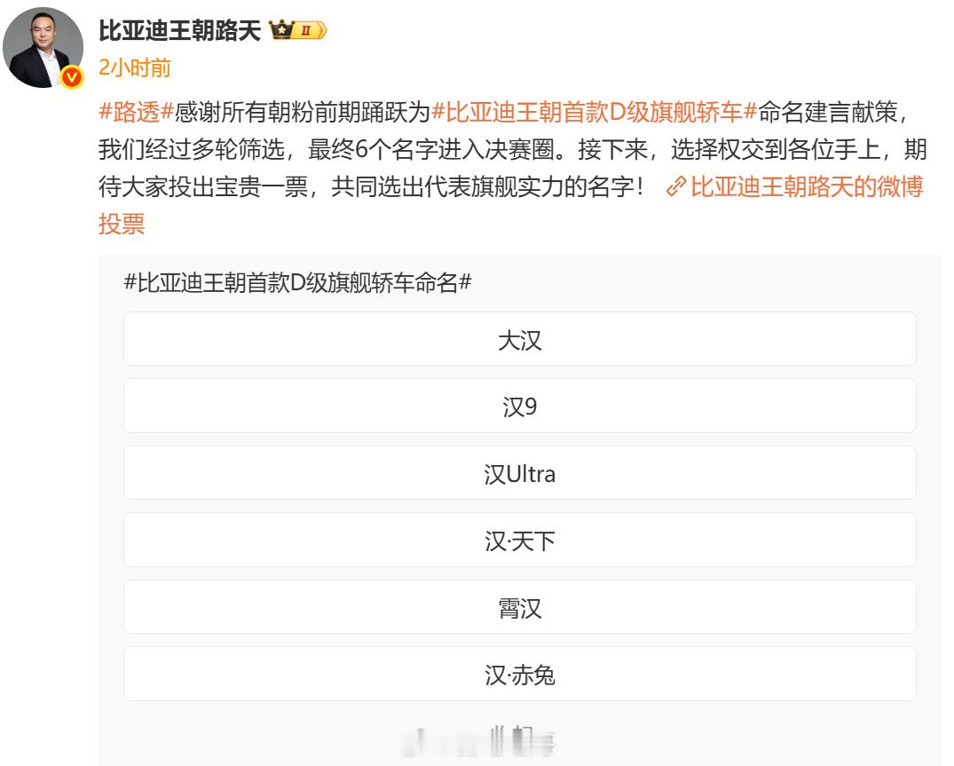路总发起征名活动这必须选大汉了和大唐变成双子星比亚迪大唐比亚迪王朝