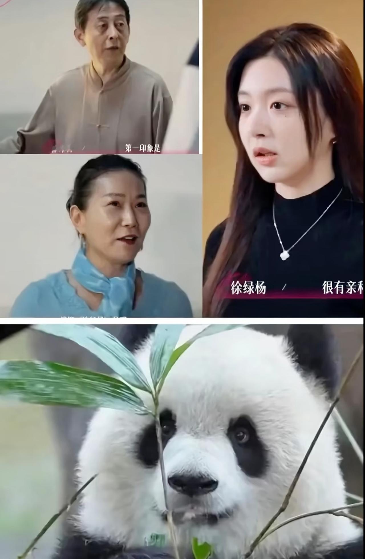 柳柳去周佑凌家拜访，一进门，网友们立马坐不住了——柳柳站在周爸爸周妈妈中间，简直