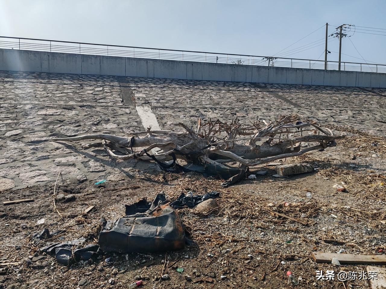 群里有没有搞艺术的，根雕大师呀？有需要的联系我，时间久了不能保证啥时候漂走了[融