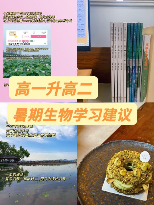给自己亲学生的暑假生物复习建议