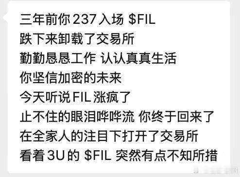 现在的山寨，只能趁着 大饼横盘的时候，偷偷蹦跶几下。翻了下涨幅榜： ORDI 、