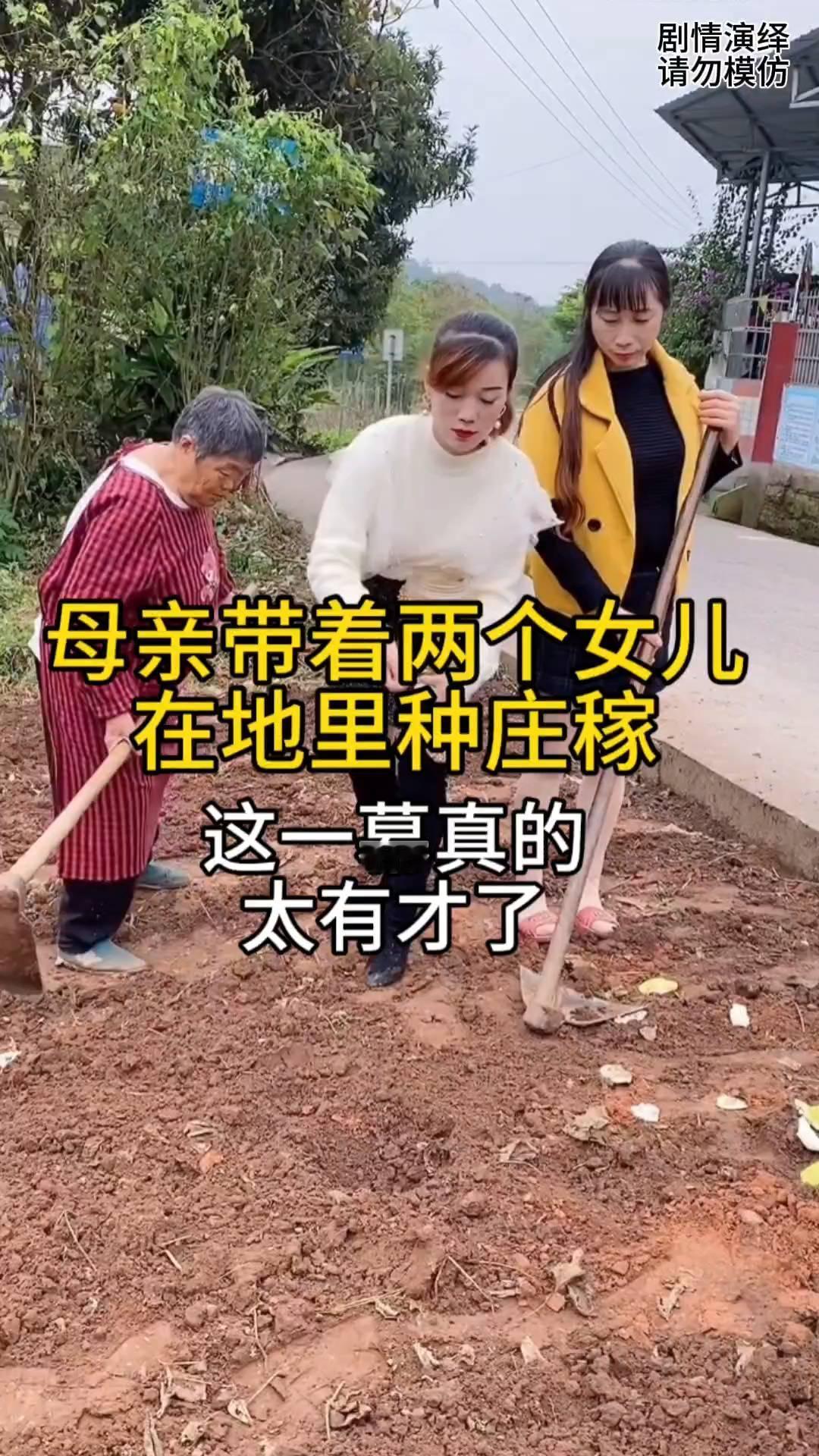 母亲带着两个女儿在地里种庄稼，这一幕真的太有才了。
母亲带着两个女儿来地里干农活