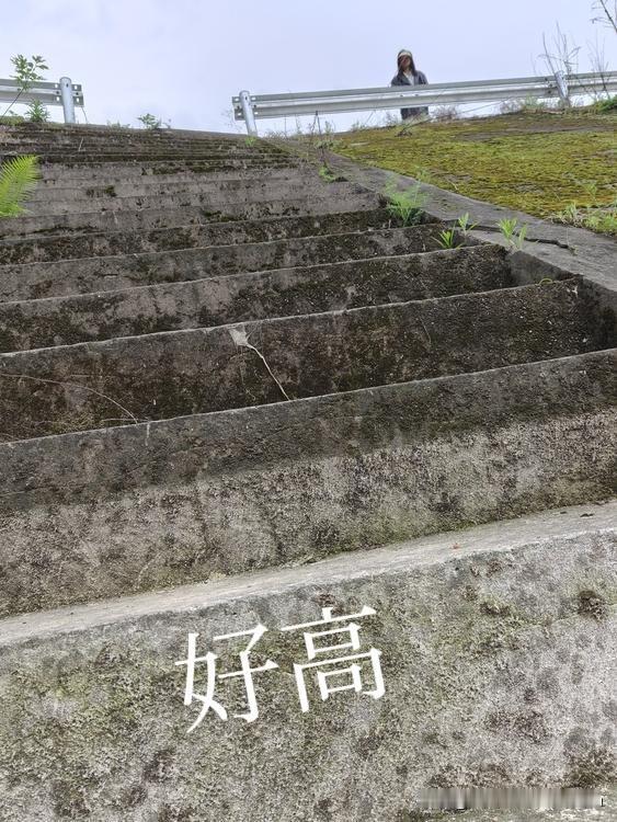 今天下午和女儿出去转了一圈。去看看我的那些土地，又回顾了一下我当年差点丢了性命的