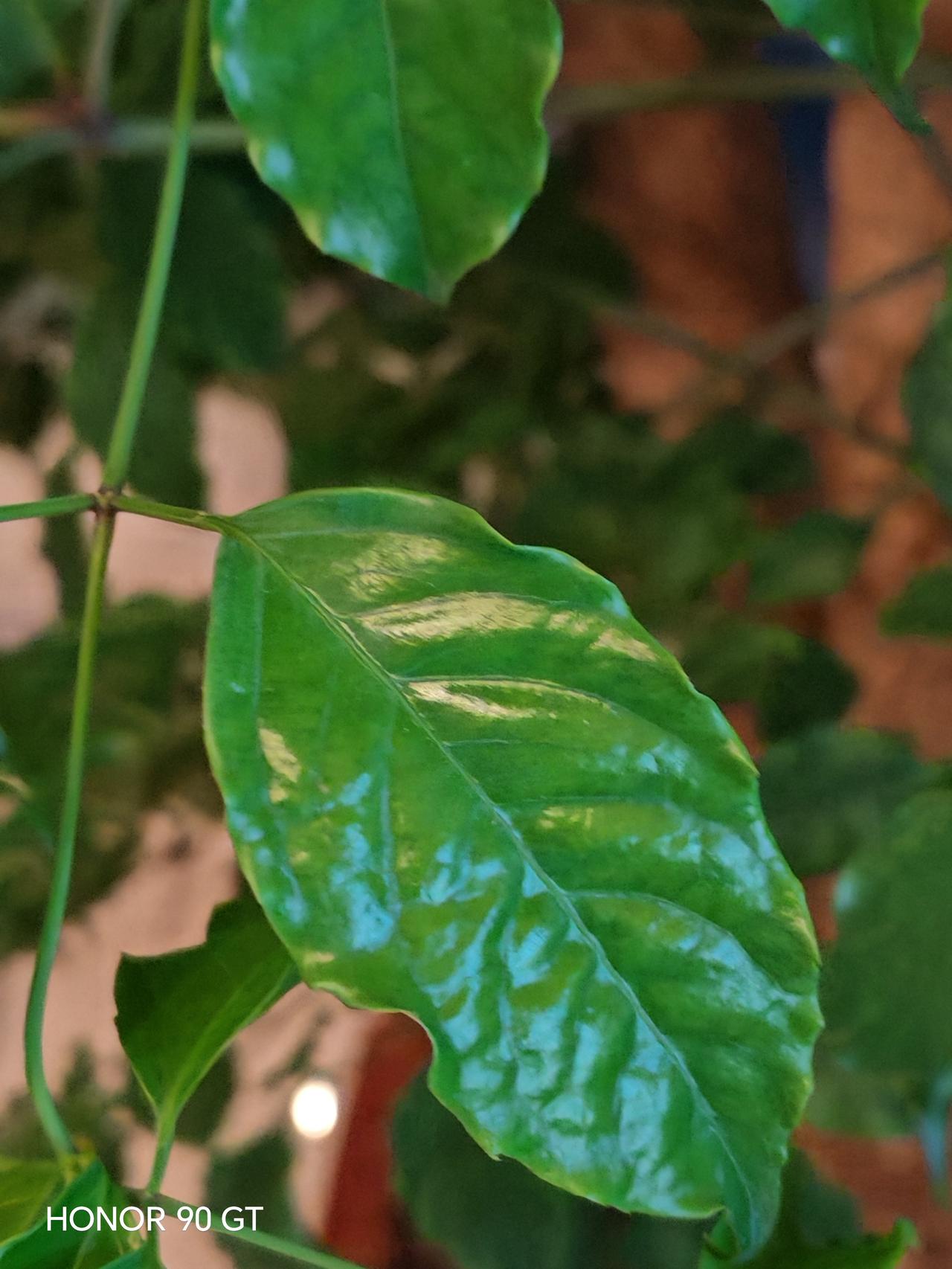 春天花会开，
快乐每一天。