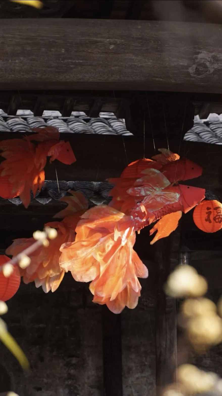 鹿泉｜春节放假好去处 来山里过新年🧨