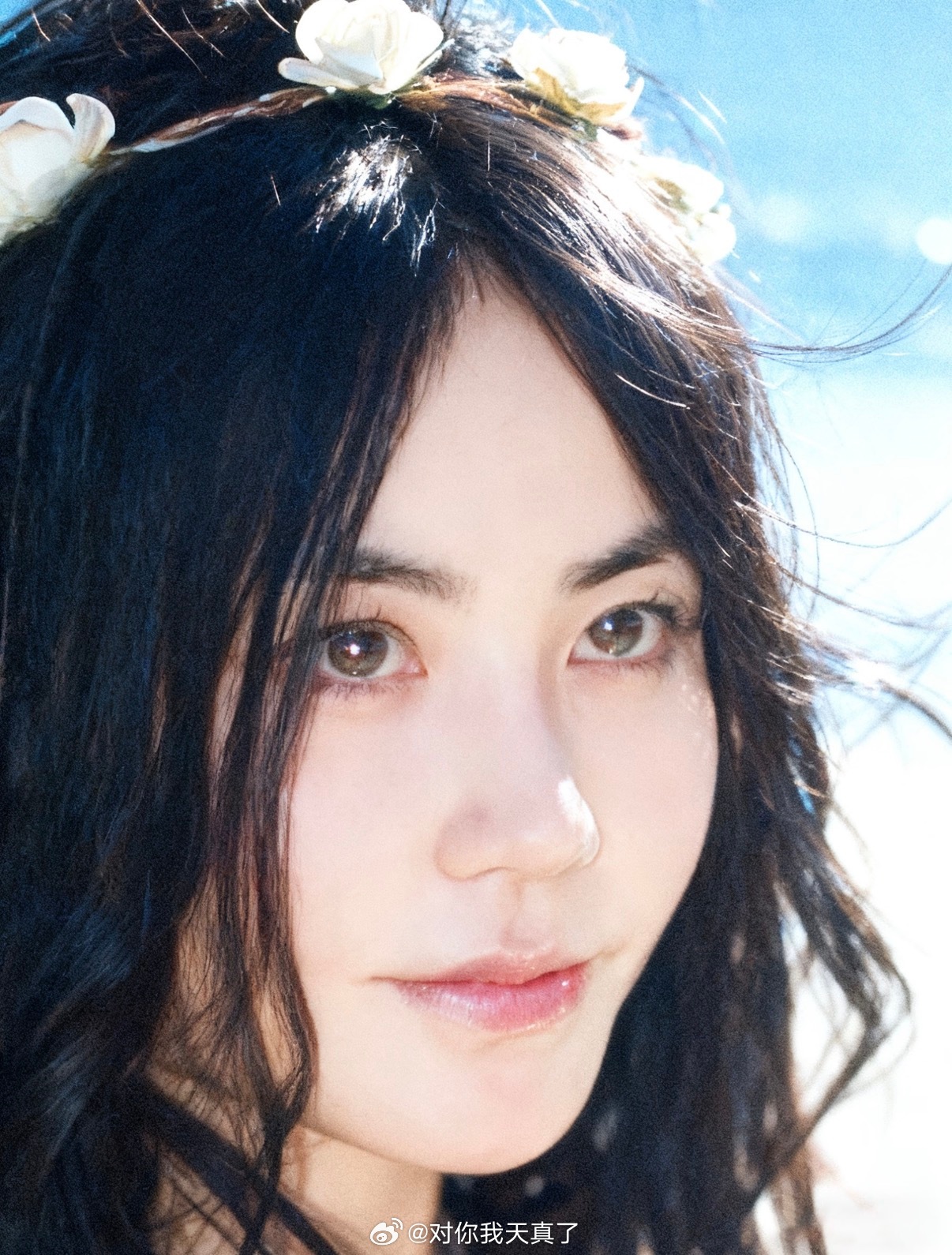 女神送过的花篮王菲送任素汐演唱会花篮