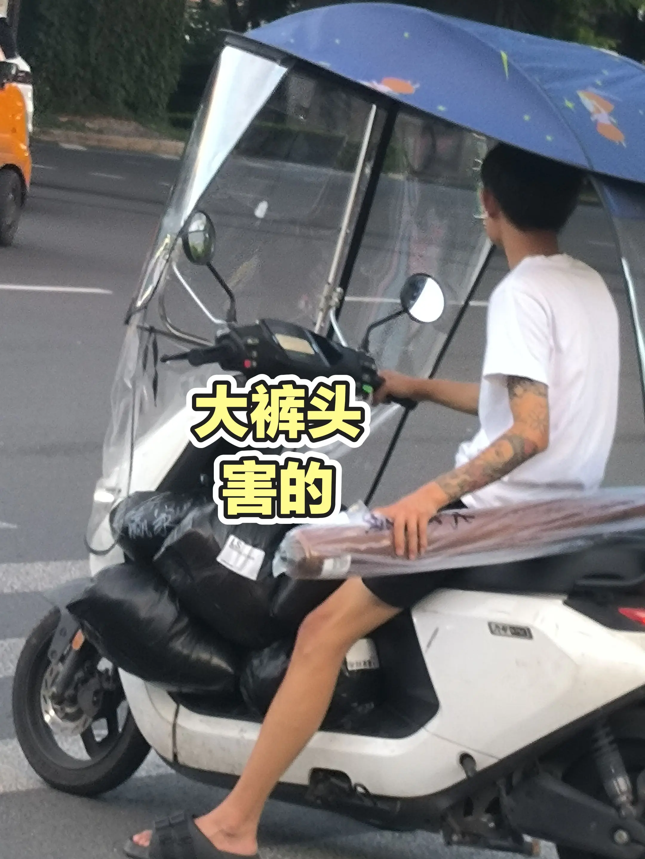 每日分享