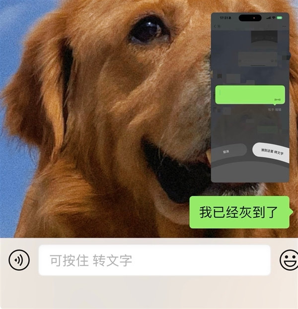 【微信测试按住转文字新功能】微信正在悄然测试一项新功能，相关话题已登上热搜，引发