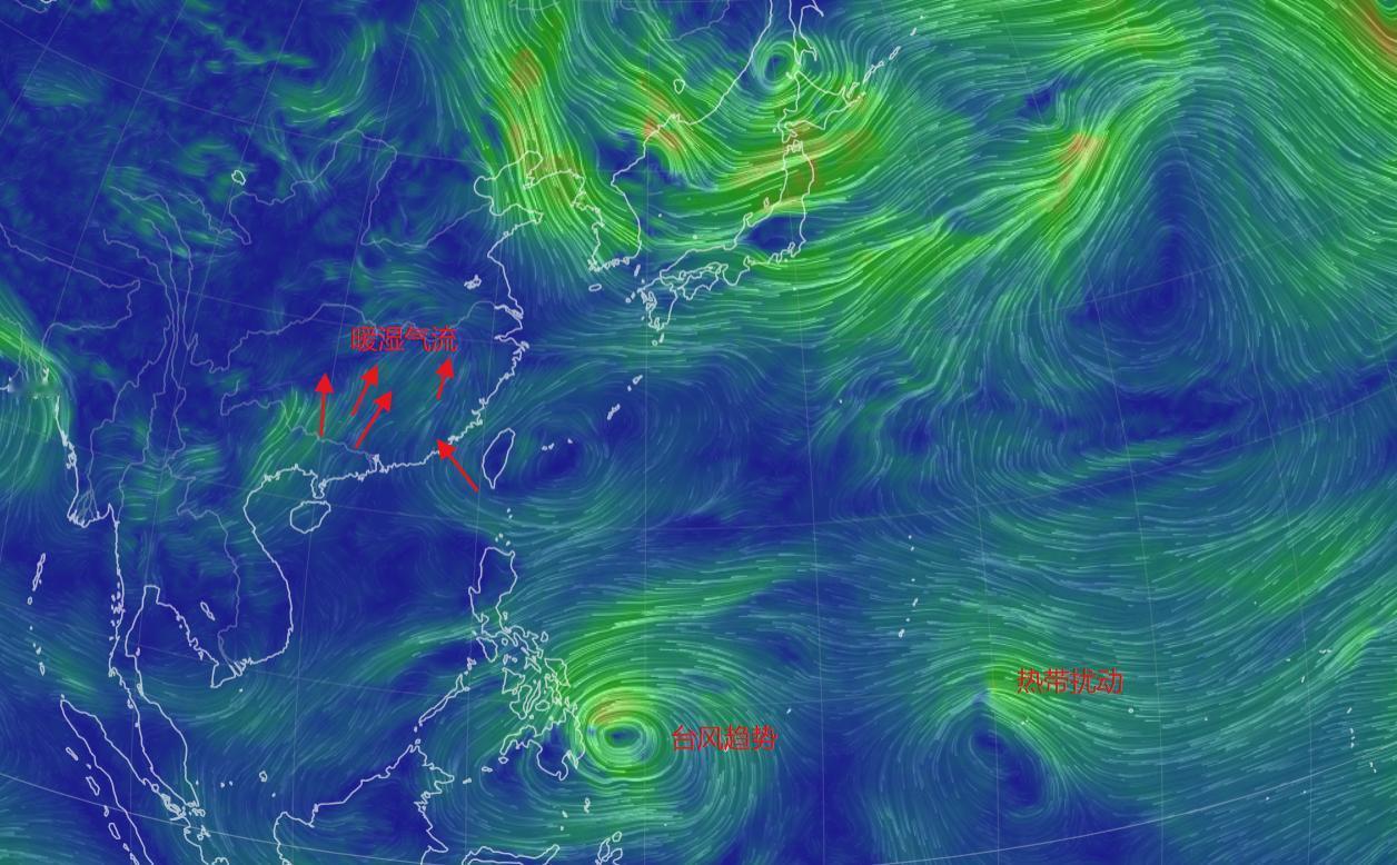 春运第1波冷空气雨雪5日来，有多强？影响有多大？主要分布在什么地方？

2026