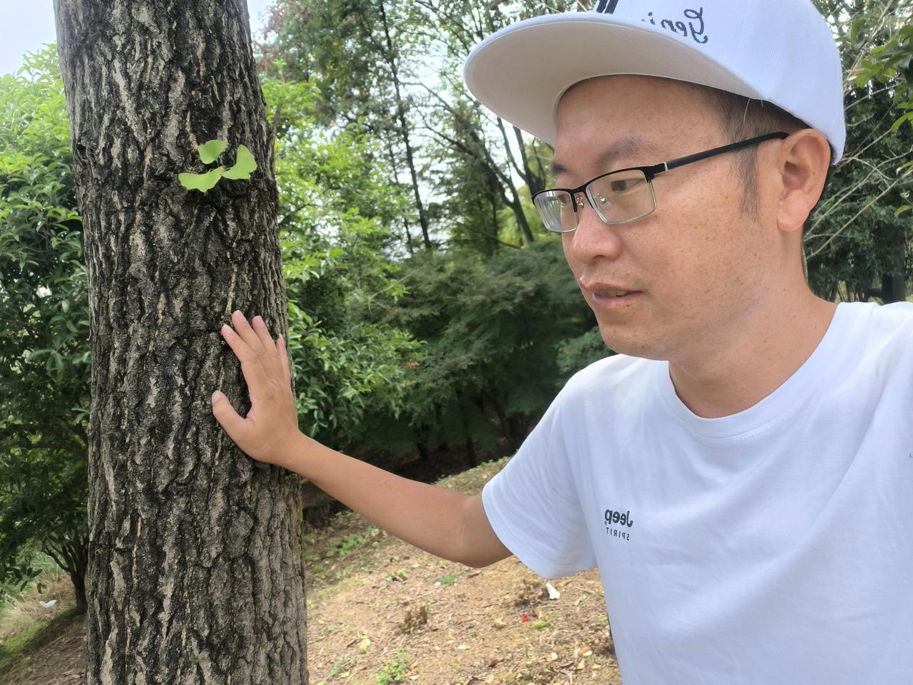做交易，要学会厚积薄发，你看这棵树，它能长这么粗，是天天铆着劲儿长吗？不是。冬天