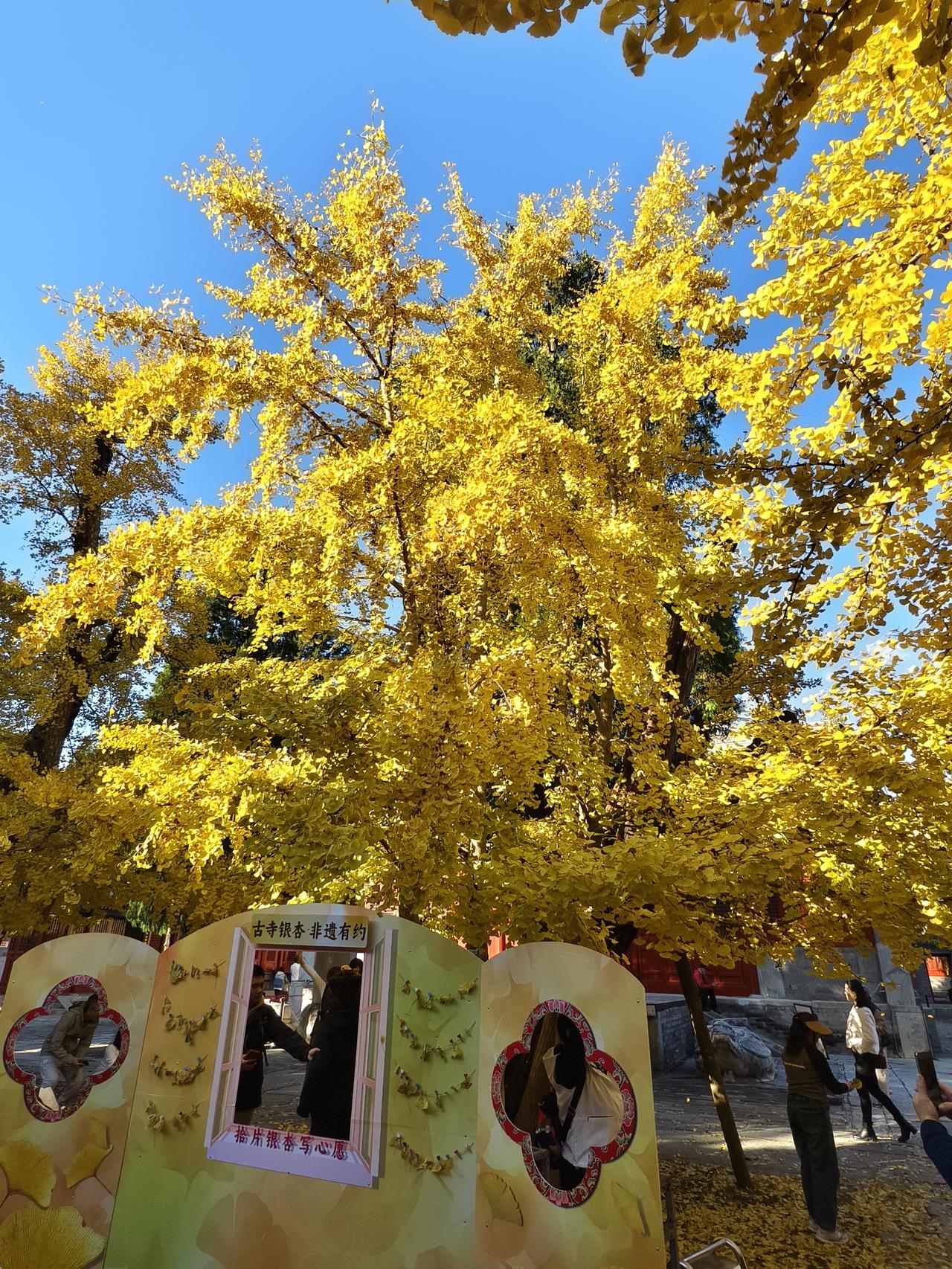 北京承恩寺始建于明正德八年（1513年），由司礼监太监温祥主持修建，明武宗朱厚照