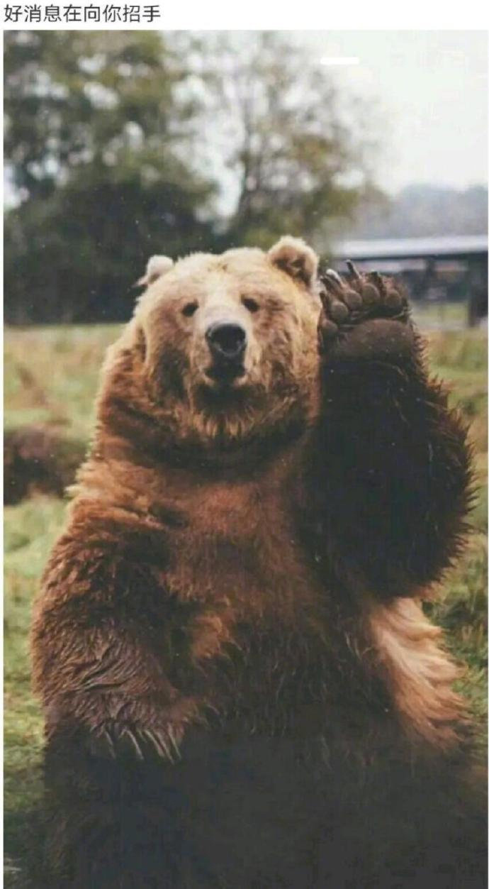 日常迷信，转发这张神奇的图，好消息在向你招手🐻 