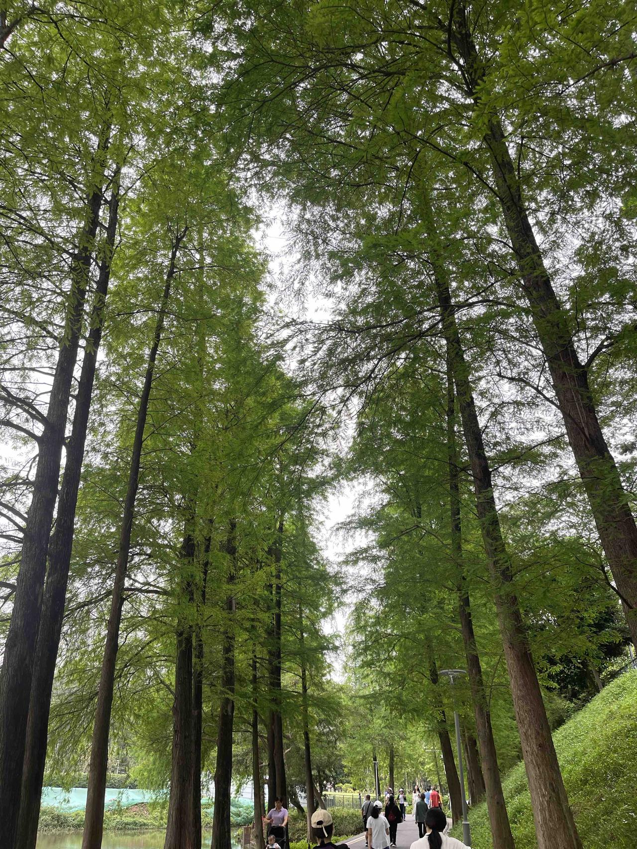 命里带财的人，身上都有这3个特征，哪怕现在没钱，早晚必富

朋友，是不是有时候特