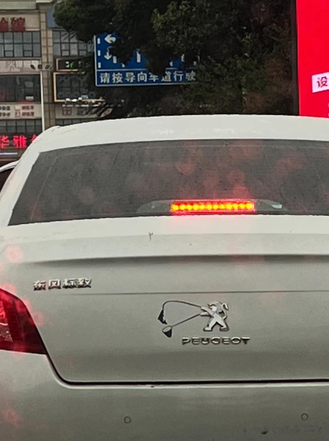 什么？电鱼违法