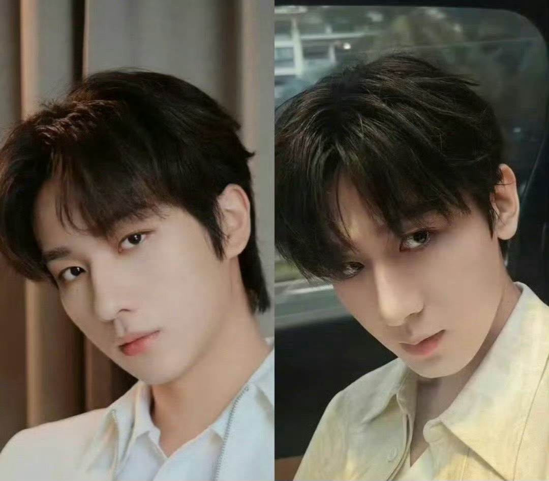 李宏毅就是有点像成毅那个？ 