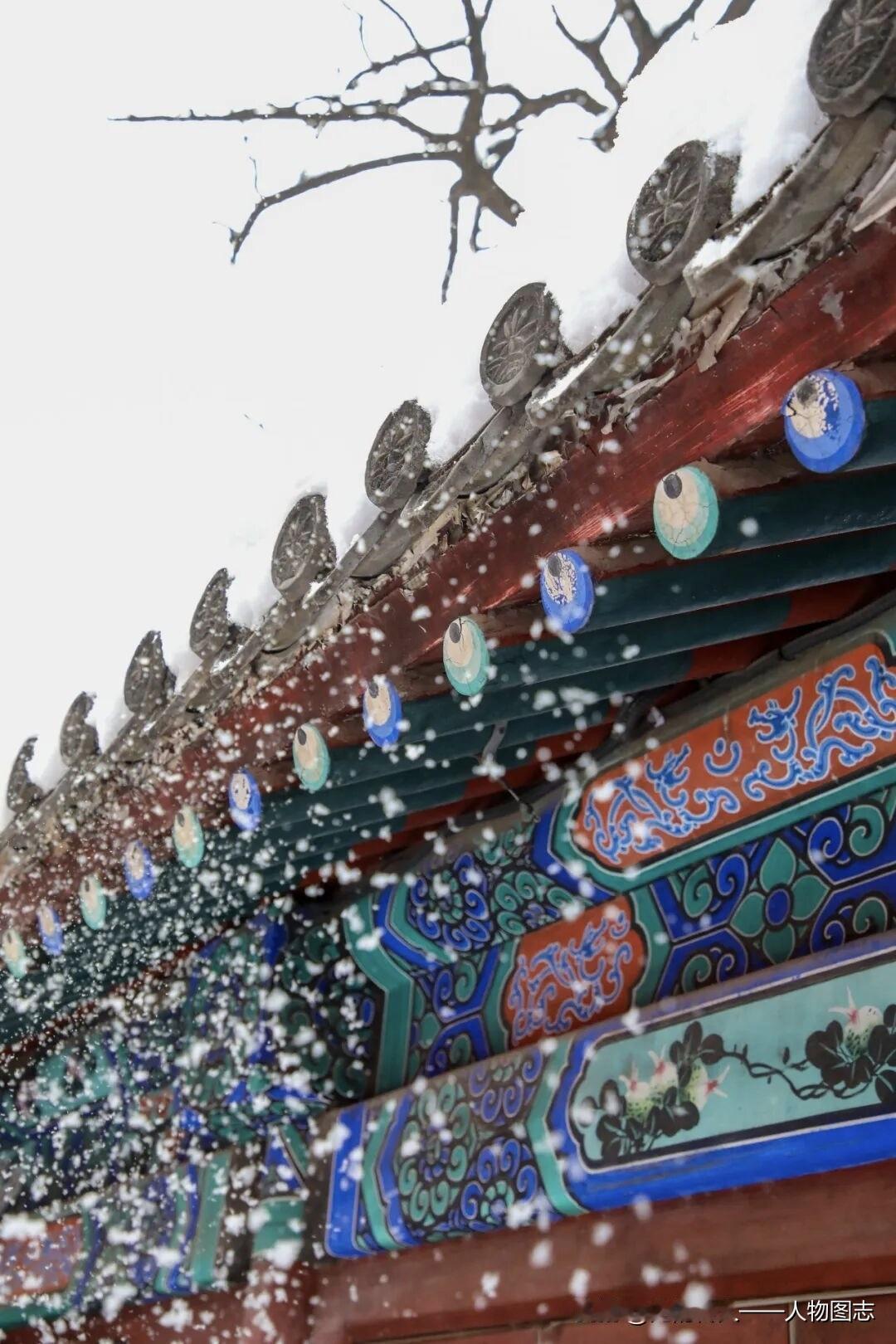 冬日生活打卡季