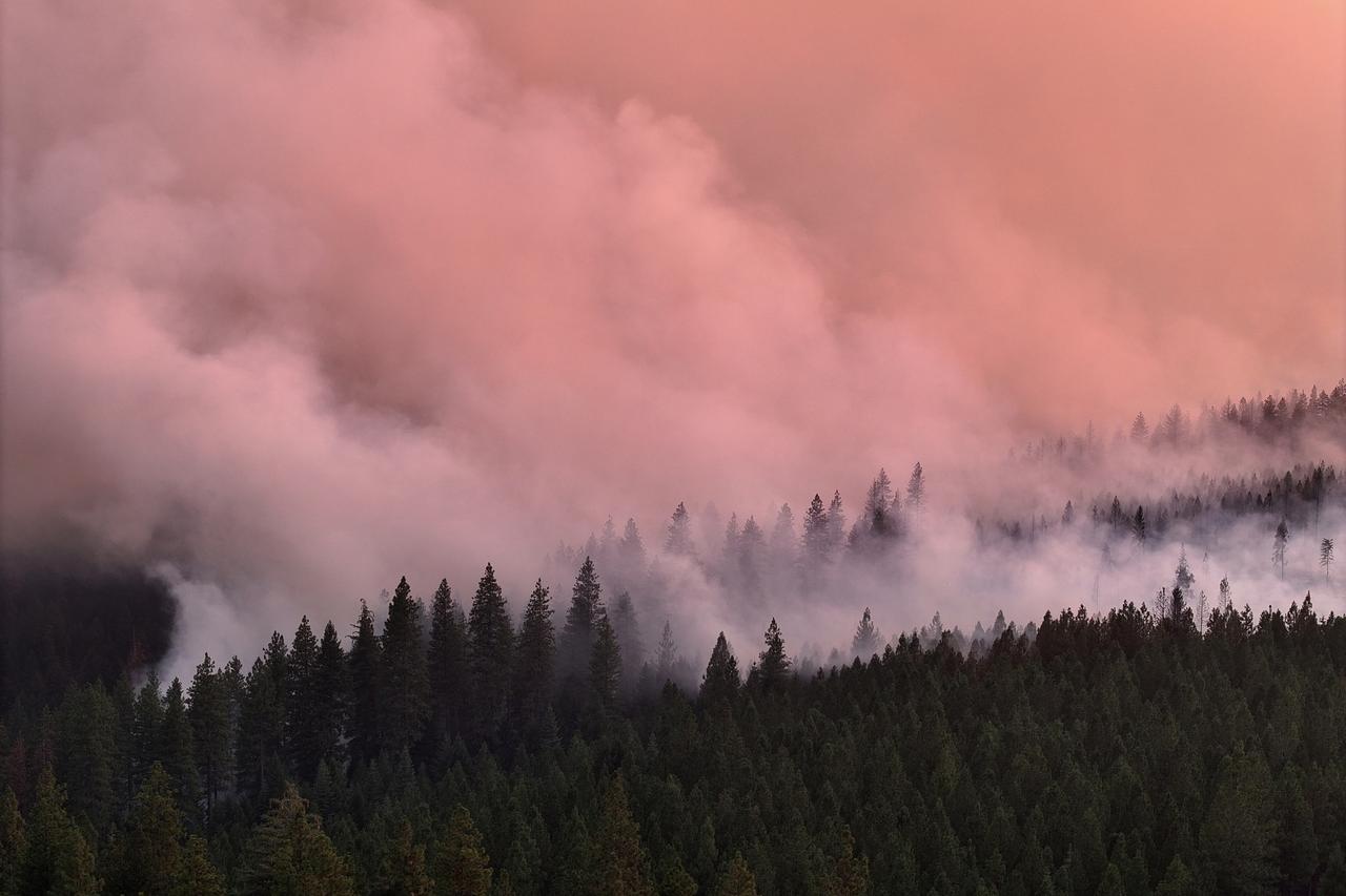“解释不清”！辽宁，一74岁老太，上山给离世儿媳烧纸祭奠，本是一片思念之情，可谁