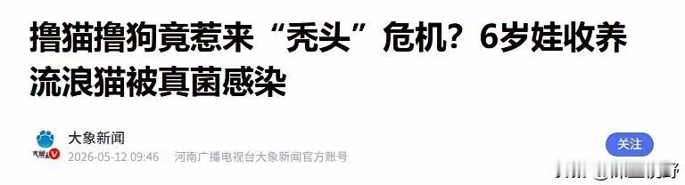 河南郑州， 6 岁女孩蹲路边摸了只流浪猫，回家没多久头顶就开始大片脱发，家长以为