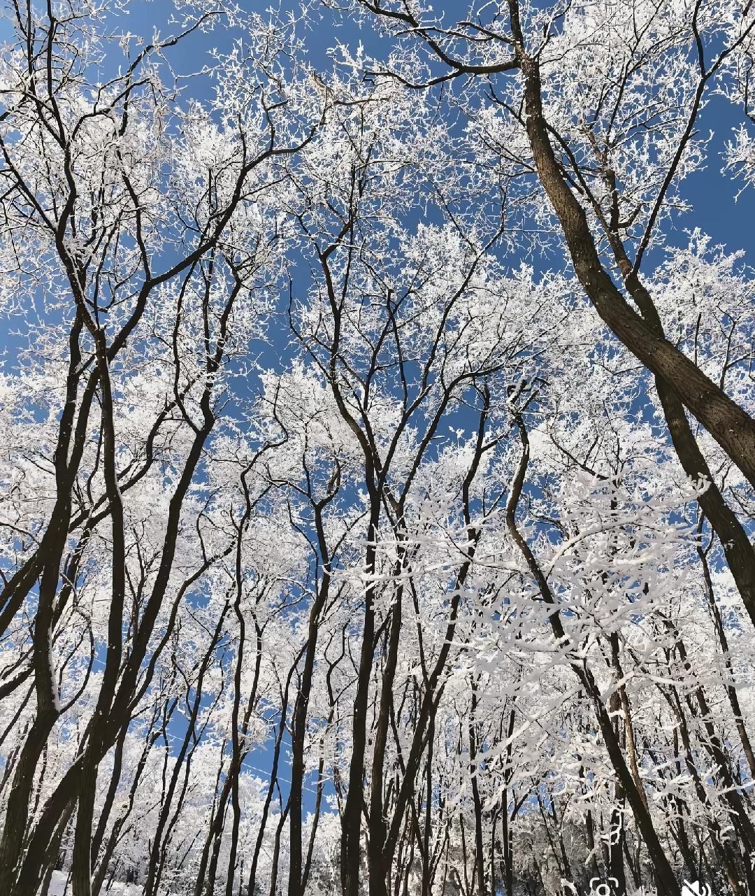 上联：独步花间寻旧梦；念姐邀对上联：独步花间寻旧梦，下联：孤身月下觅故人。独步对